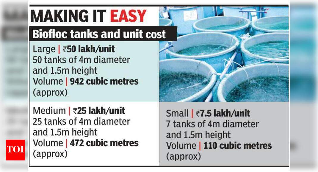 Using biofloc, ryots reap profits in fish farming | Goa News - Times of ...