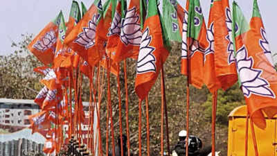 Eye on Lok Sabha polls, BJP to push Hindutva agenda harder in Karnataka