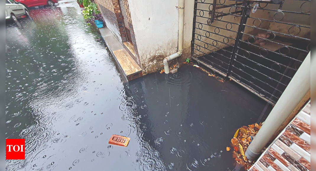 Overflowing Drain Brings In Muck To Houses Here Noida News Times of