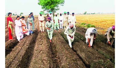 Cotton farmers told to opt for bed plantation