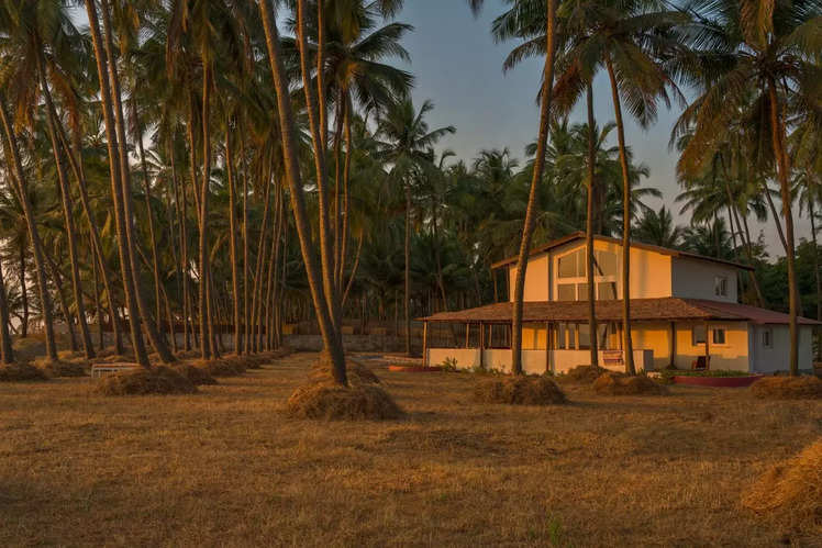 These Farmstays In India Will Take You Back To Simpler Days Times Of India Travel 