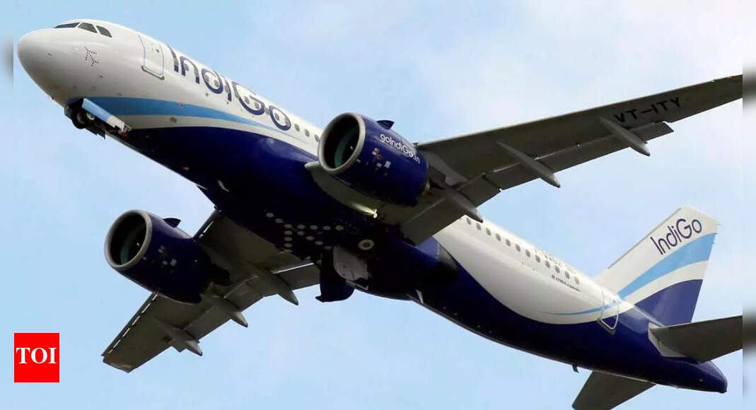 IndiGo posts Rs 919.2 crore profit in March quarter – Times of India