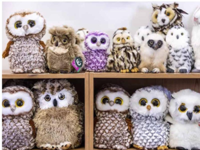 Only a genius can tell which one's a real owl among toy owls
