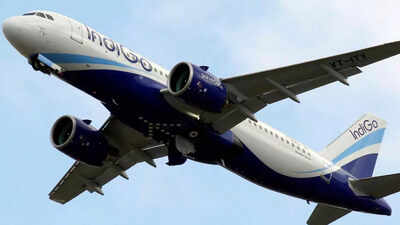 IndiGo reports best ever Q4 profit at Rs 919 crore