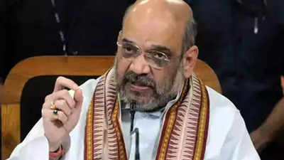 India has gained fame and recognition under PM Modi: Amit Shah