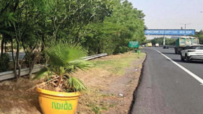 Flower pots on Noida-Greater Noida Expressway, experts flag safety risk