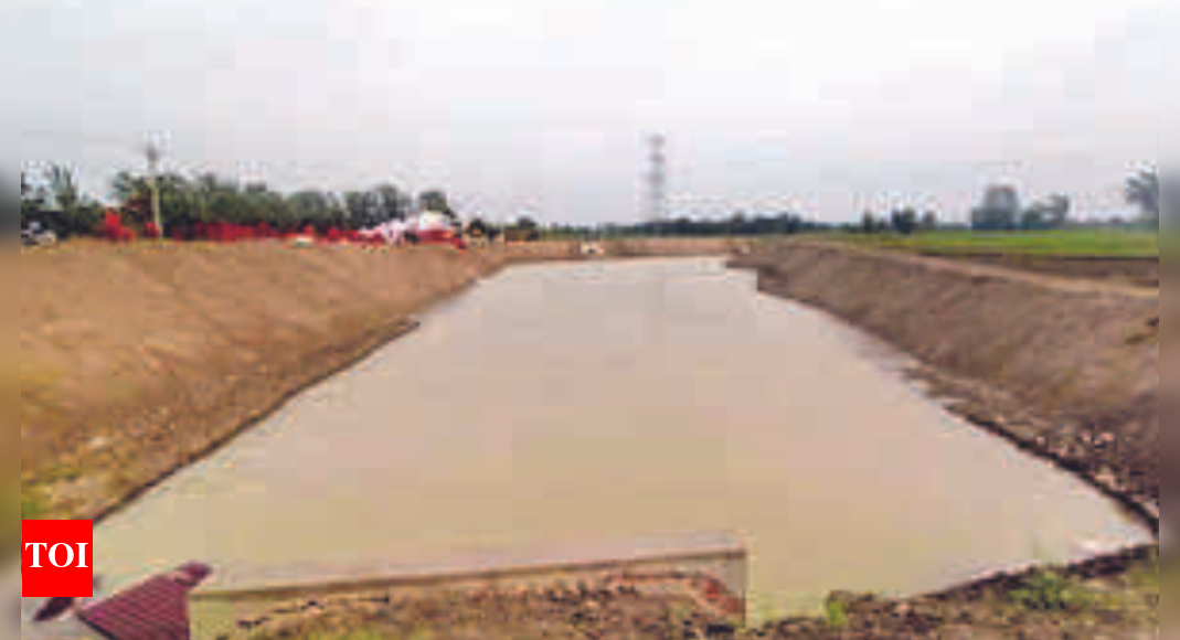 40 years on, lost river in UP's Hapur brought back to life Meerut