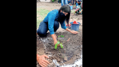 40% of 55 lakh trees planted by AMC in 4 years perished