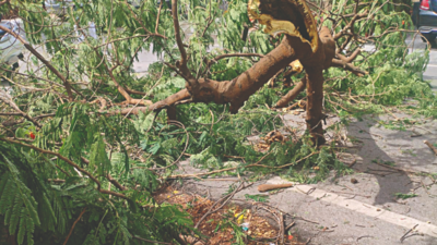 After rain, outages ‘for 25 times’