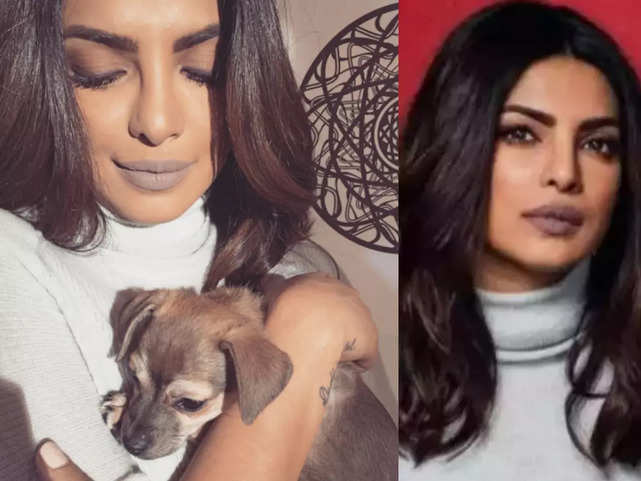 Priyanka Chopra Jonas