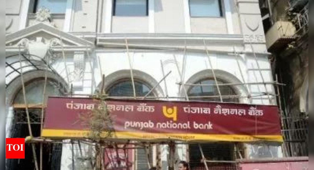 PNB Q4 profit jumps over 5-fold to Rs 1,159cr - Times of India