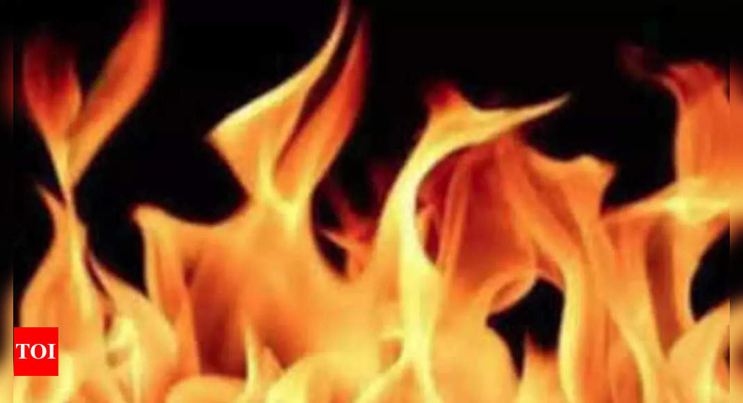 नोएडा सेक्टर 30 प्लॉट में आग 18 घंटे से अधिक समय तक सिमटती रही |  नोएडा समाचार – टाइम्स ऑफ इंडिया