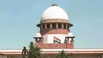 SC directs shifting of Dutch prisoner from Srinagar Jail to Delhi hospital for Schizophrenia treatment