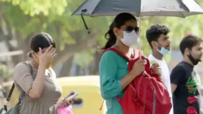 Temperature to rise further in Delhi before rain brings respite