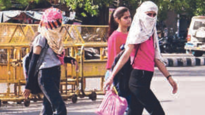 Heat & run: Rising mercury grips Raj districts, Pilani sizzles at 44.9°C