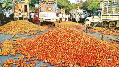 Nashik farmers dump tomatoes on roads as prices crash