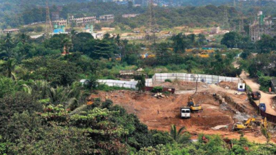 1.9km Wall To Protect Aarey Forest | Mumbai News - Times of India