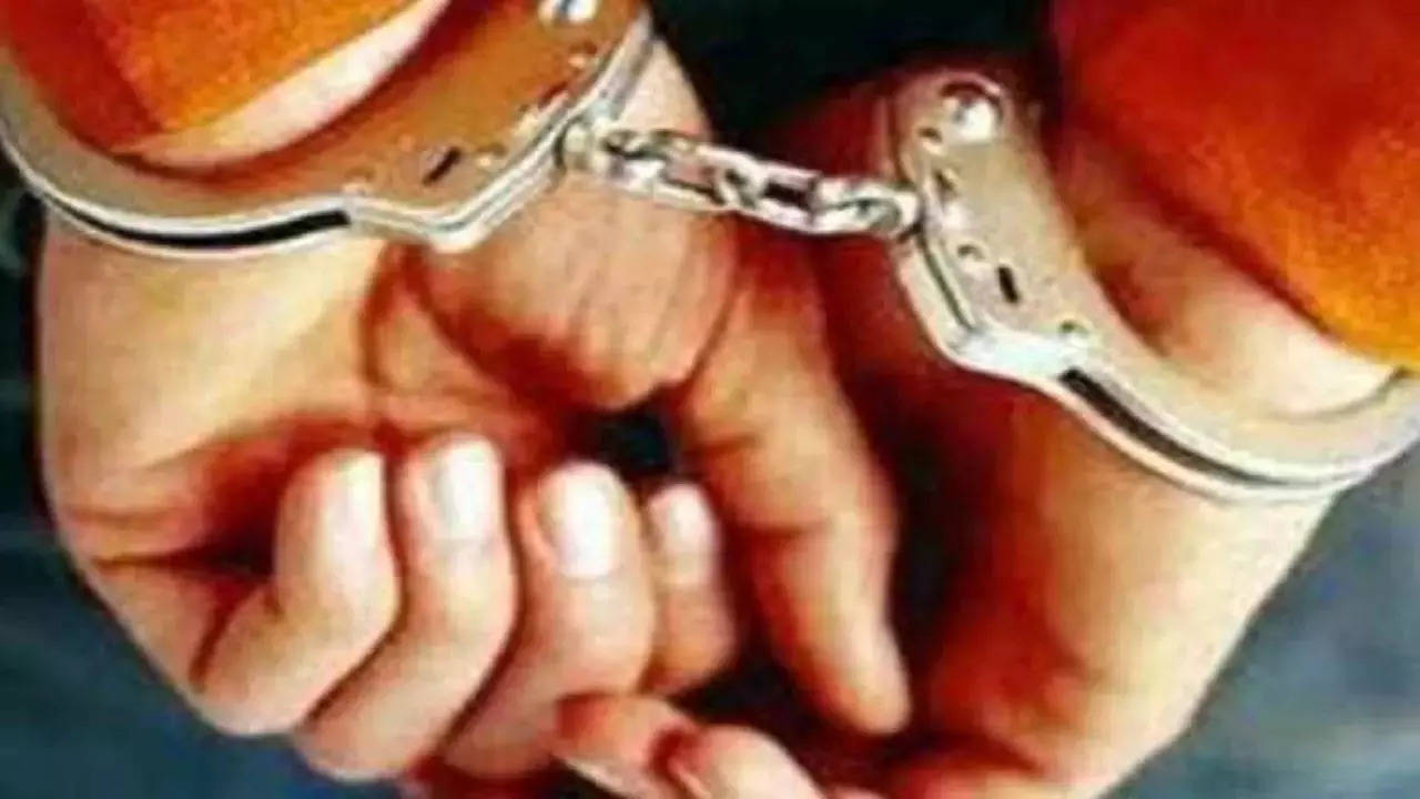 70-yr-old Duped Of 15l Through Sextortion, 1 Arrested In Bharatpur | Jaipur  News - Times of India