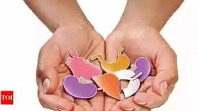 Maharashtra doctor couple donates organs of son killed in road accident