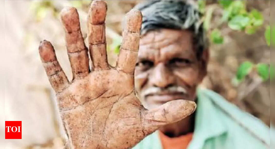 Wagholi Stone Wagholi stone quarry workers get no rations as fading