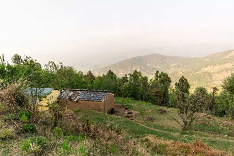 India’s most alluring forest rest houses | Times of India Travel