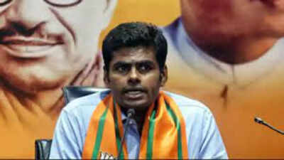 Governor R N Ravi can recommend dropping minister: Tamil Nadu BJP chief K Annamalai