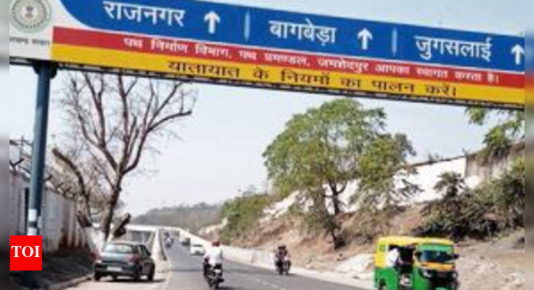 Installation of 110 streetlights on Jugsalai overbridge begins