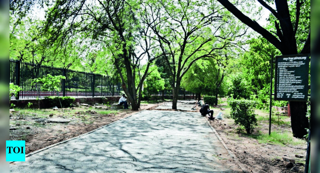 Jda: Jawahar Circle Jogging Track To Suit Elderly & Differently Abled ...