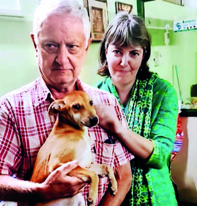 When dogs fly! Rescued from Kashi streets, strays Moti & Jaya to join saviours in Europe