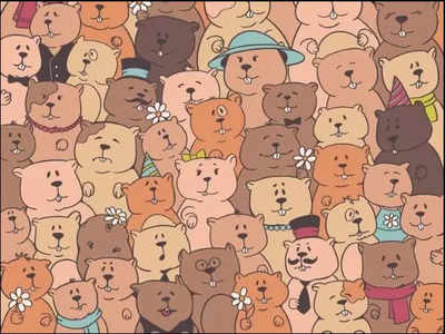 Optical Illusion: There's a potato hidden among these bears; can you find it within 7 seconds?