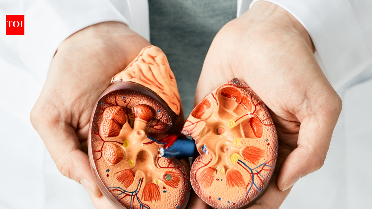 Acute kidney injury: Factors that may lead to it