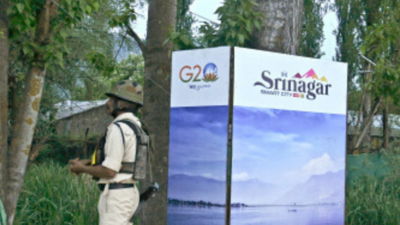 India pitches for green ideas for its oceans in a bid to attract international tech and finance assistance: G20