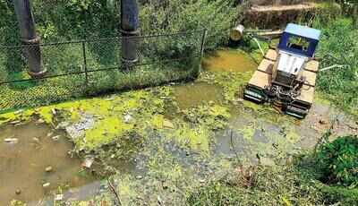 Picnickers, weekly market vendors dump plastic in Valvonti, choke river