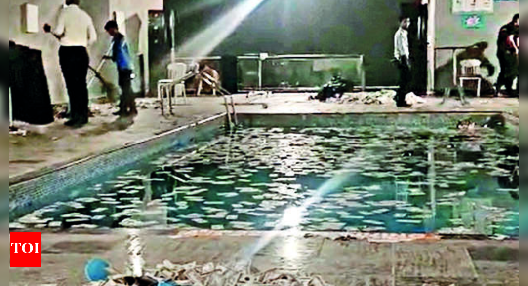 After cash thrown on women, shots fired at poolside party | Chandigarh ...