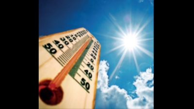 Bipolar cases rise with soaring temperature
