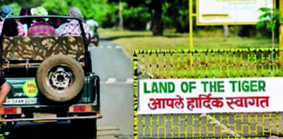 New website to drive away Tadoba safari booking woes