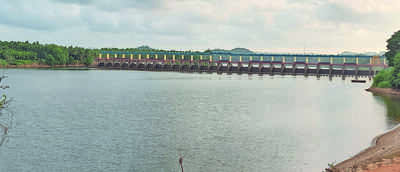 Fast depletion of water in Thumbe dam causes concern
