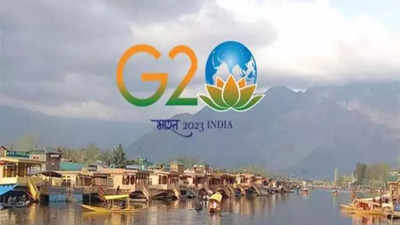 'An achievement of sorts': Govt on G20 meet in J&K