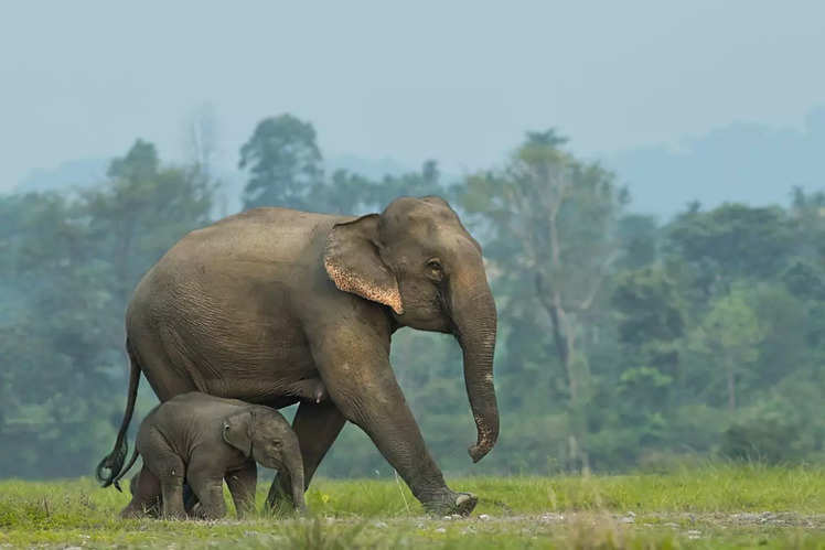 Nepal's most surreal photos on the internet today | Times of India Travel