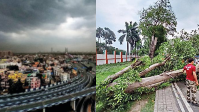 Squalls at 78 and 72kmph hit Kolkata, uproot trees