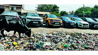 Trash piles up on streets as safai workers suspend work yet again