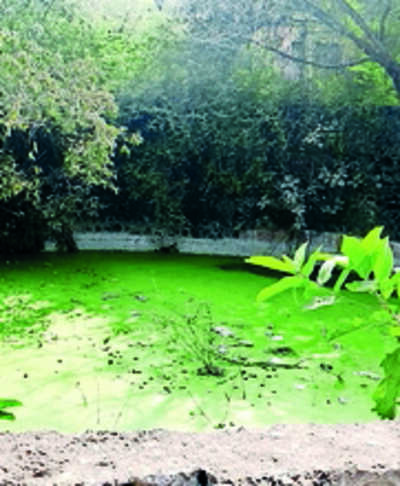 SECR ignores railway minister’s order to restore Bhonsle-era wells
