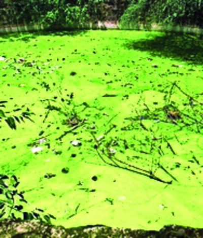 SECR ignores railway minister’s order to restore Bhonsle-era wells