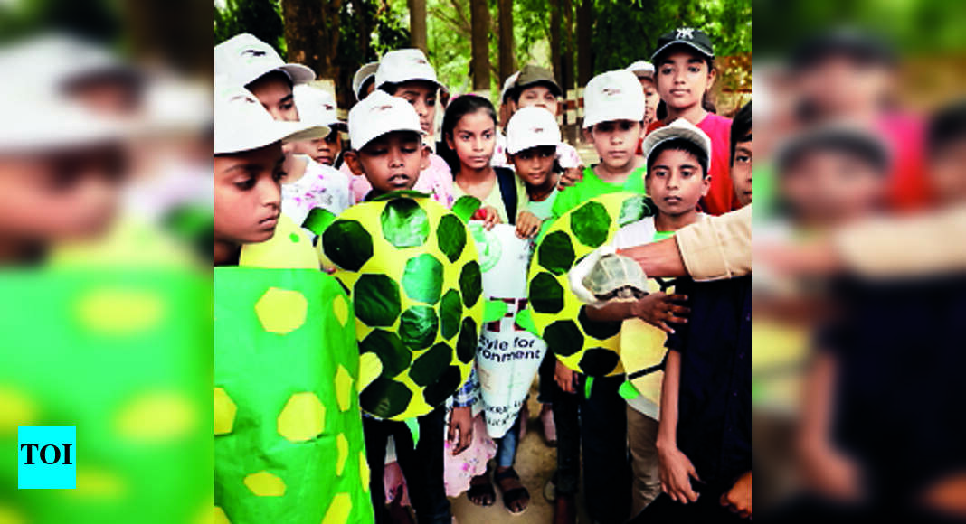Kids Learn Interesting Nuggets About Turtles Lucknow News Times of