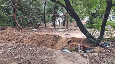 ‘Construction on site for complex will lead to tree felling’
