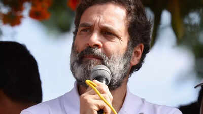 Parliament built through constitutional values not by 'bricks of ego': Rahul Gandhi