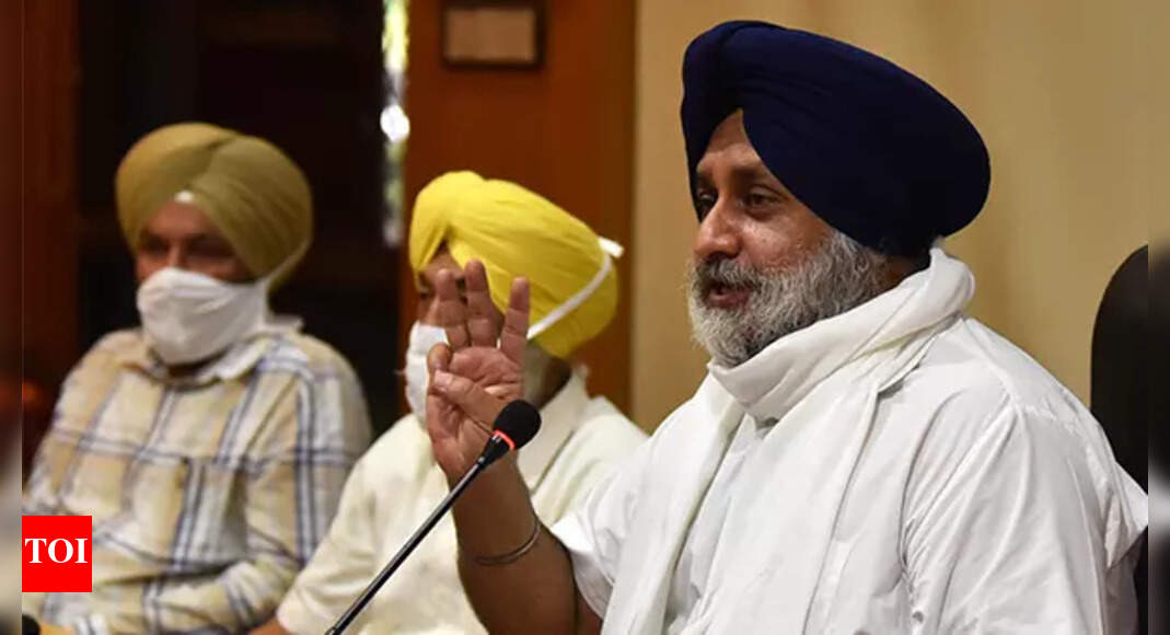 Will Akali Dal go back 100 years to rediscover lost glory? India News