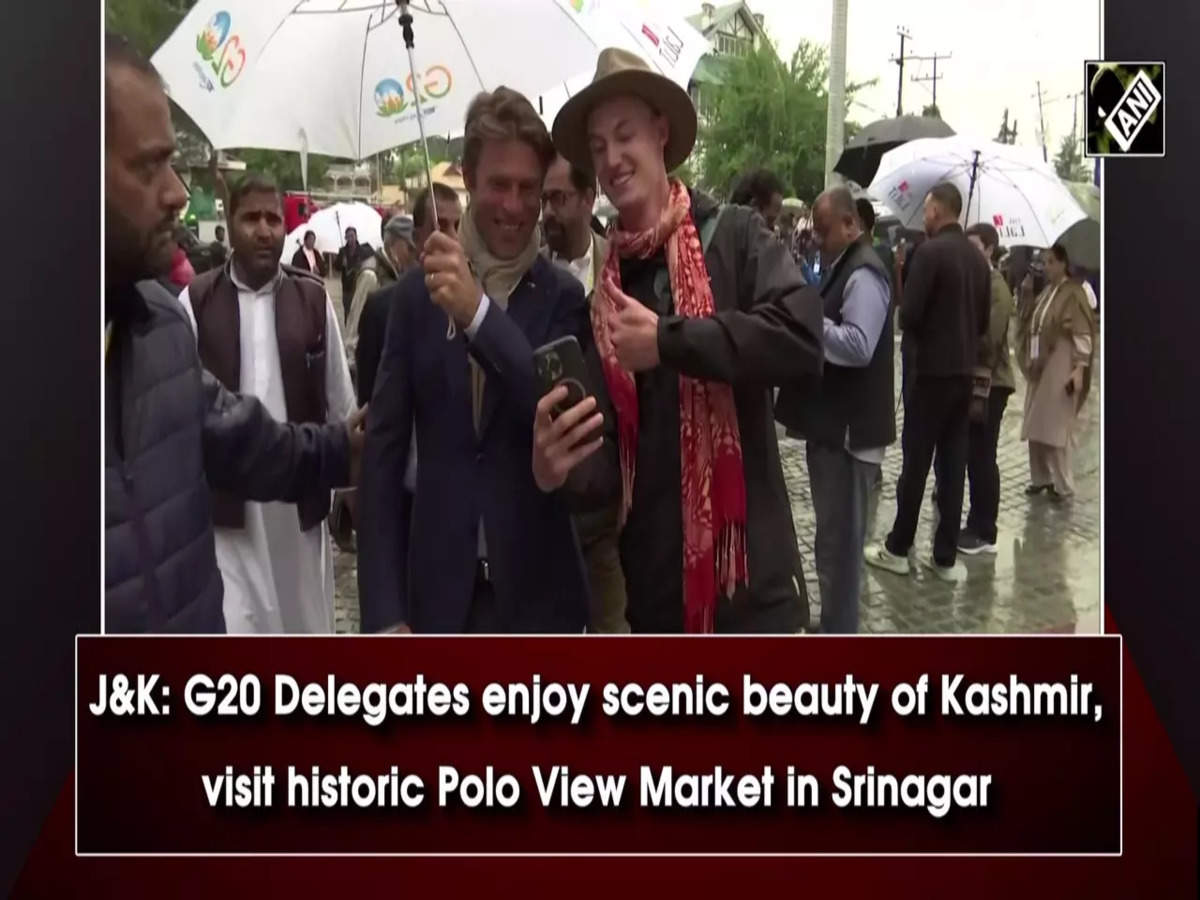 G20 Kashmir delegates tour Srinagar Polo View Market video Singapore High  Commissioner says tourists should visit J&K