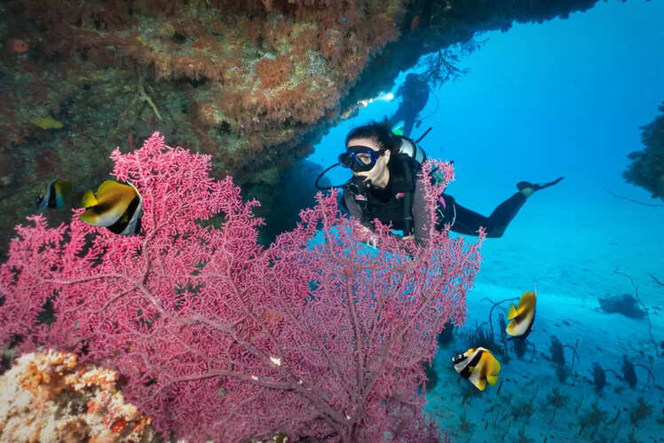 Scuba diving