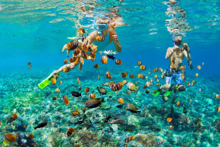 Snorkelling